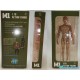 M1 - Action figure